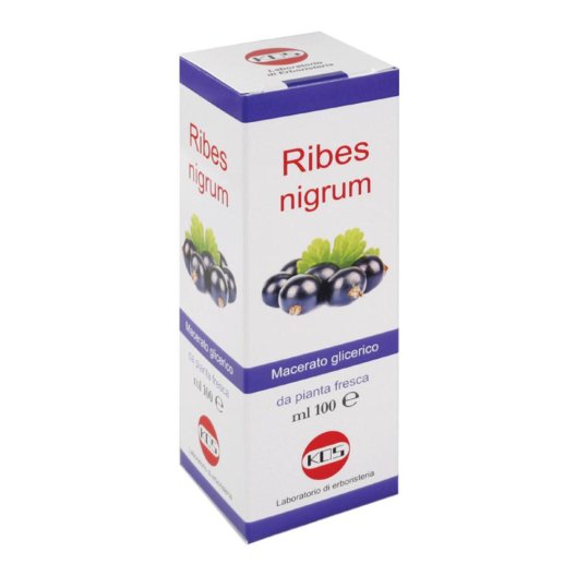 RIBES NIGRUM MG 100ML GTT RIBES NIGRUM MG 100ML GTT