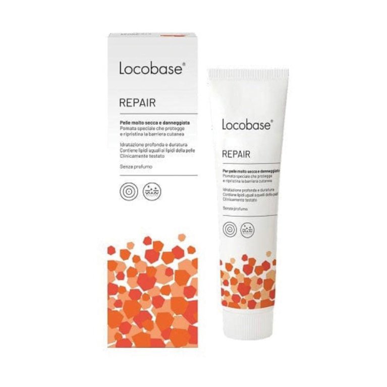 LOCOBASE REPAIR 100G LOCOBASE REPAIR 100G