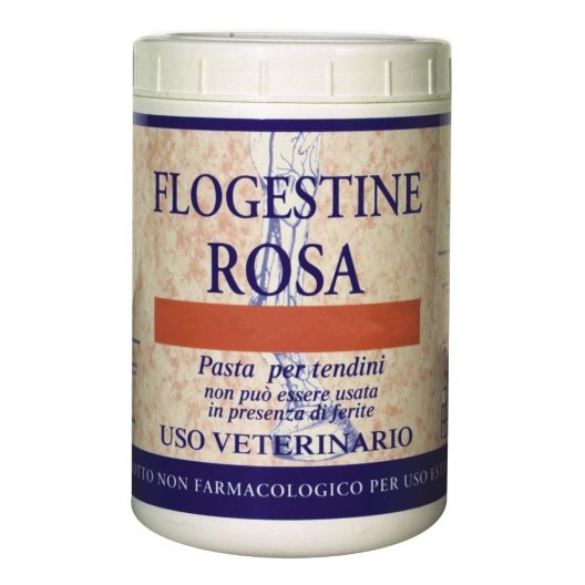 FLOGESTINE ROSA PASTA 1KG FLOGESTINE ROSA PASTA 1KG