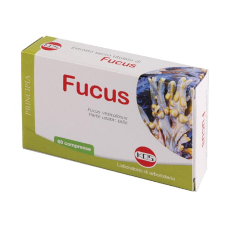 FUCUS ESTRATTO SECCO 60CPR FUCUS ESTRATTO SECCO 60CPR