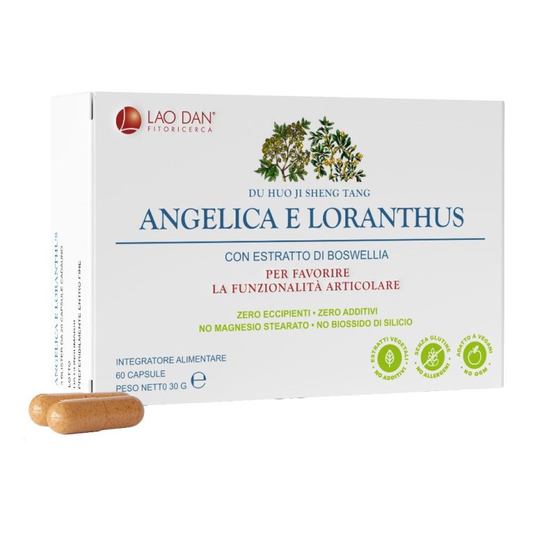 ANGELICA LORANTHUS 60CPR BLIS ANGELICA LORANTHUS 60CPR BLIS