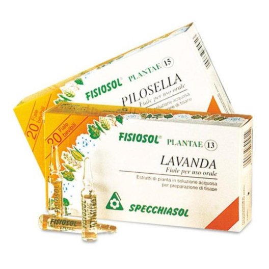 FISIOSOL 13 MG 20F 2ML FISIOSOL 13 MG 20F 2ML