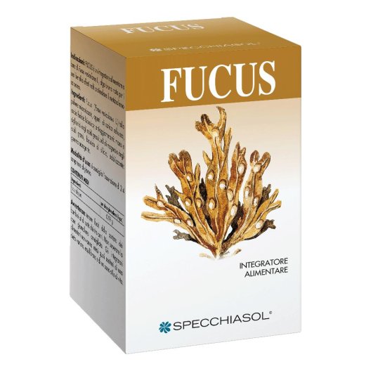 FUCUS ERBE 150TAV FUCUS ERBE 150TAV
