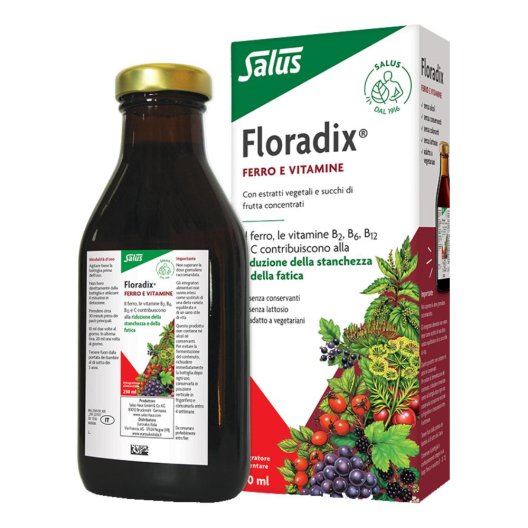 Floradix - integratore di ferro e vitamine - 250 ml