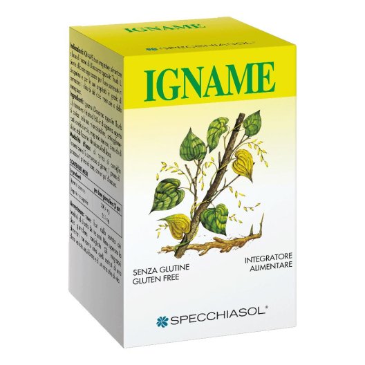 IGNAME ERBE 60TAV IGNAME ERBE 60TAV