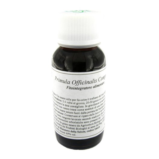 LVS 04N PRIMULA OFF COMP LVS 04N PRIMULA OFF COMP