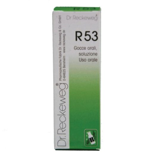 RECKEWEG R53 GOCCE 22ML