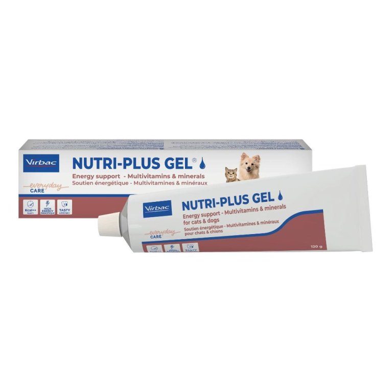 NUTRIPLUS GEL PASTA ORALE 120G NUTRIPLUS GEL PASTA ORALE 120G