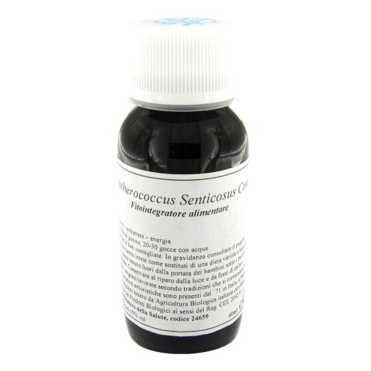 LVS 45C ELEUTHEROCOC SENT COMP LVS 45C ELEUTHEROCOC SENT COMP