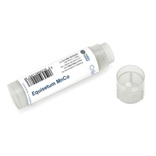 EQUISETUM MN/CO 100GL EQUISETUM MN/CO 100GL