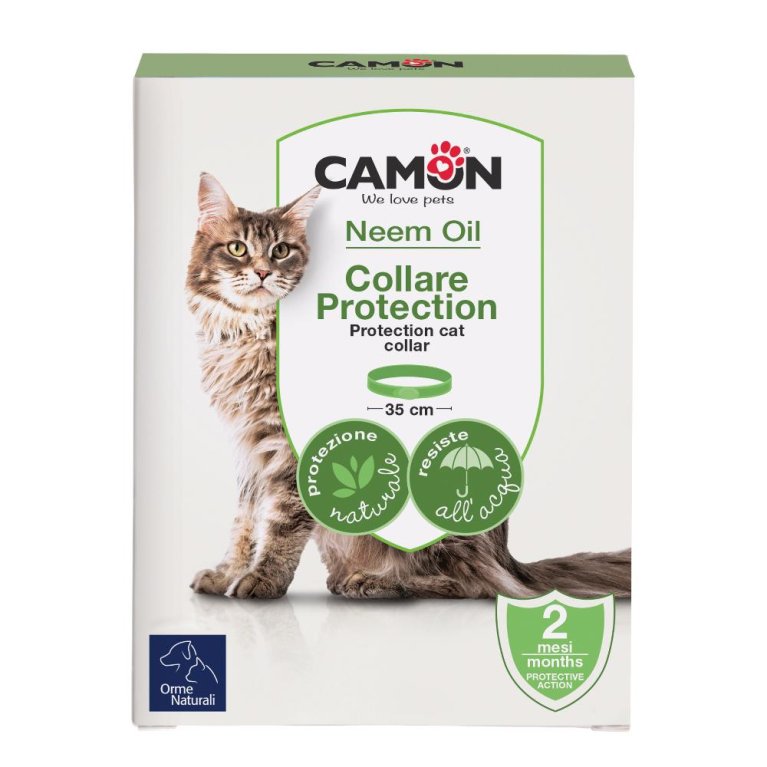 PROTECTION COLLARE BARRI GATTO PROTECTION COLLARE BARRI GATTO