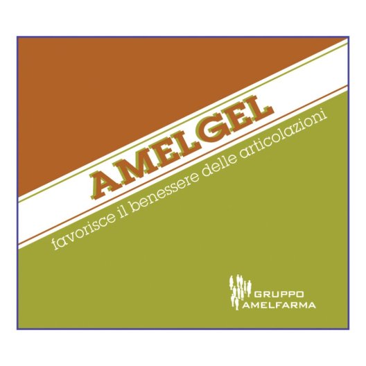 AMELGEL 100ML AMELGEL 100ML