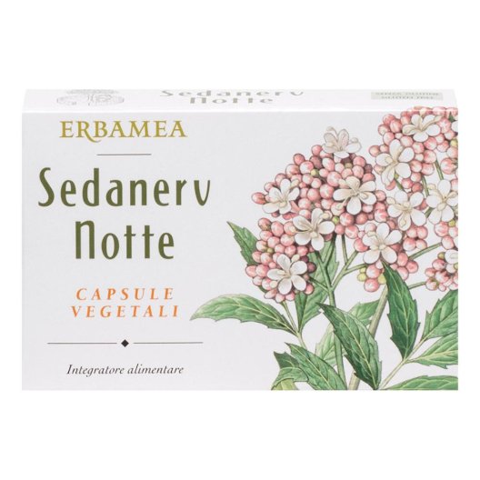 SEDANERV NOTTE 24CPS VEG