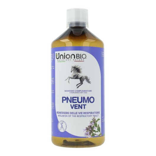 PNEUMO VENT 1 LT