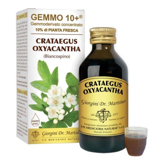 BIANCOSPINO 100ML ANALC GE 10+