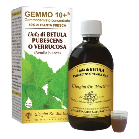 BETULLA B LINFA AN GEMM10+ 500