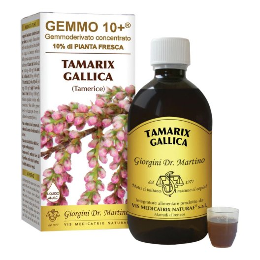 TAMERICE 500ML ANALCO GEMMO10+