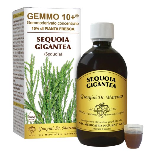 SEQUOIA 500ML ANALCO GEMMO 10+