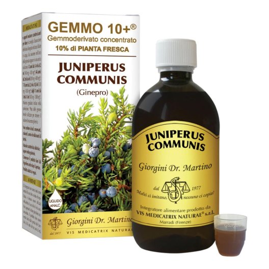 GINEPRO 500ML ANALCO GEMMO 10+