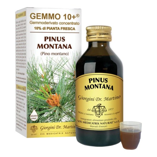 PINO MONT 100ML ANALCO GEM 10+