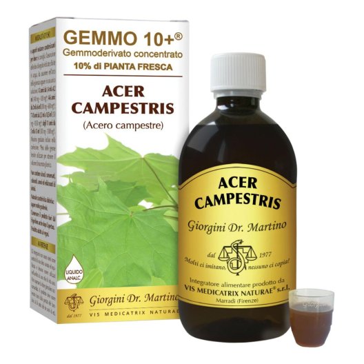 ACERO CAMP 500ML ANALCO GEM10+
