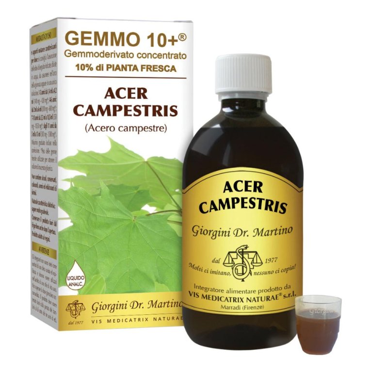 ACERO CAMP 500ML ANALCO GEM10+