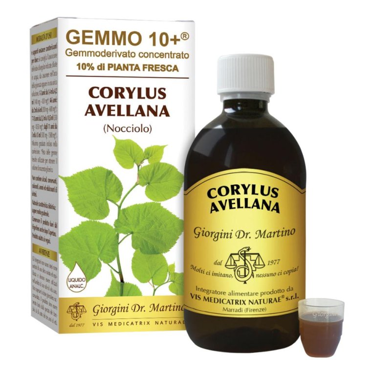 NOCCIOLO 500ML ANALCO GEM 10+