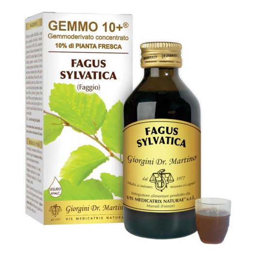 FAGGIO 100ML ANALCO GEMMO 10+ FAGGIO 100ML ANALCO GEMMO 10+