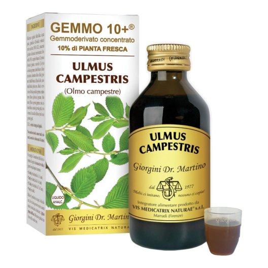 OLMO CAMP 100ML ANALCO GEM 10+