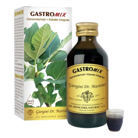 GASTROMIX LIQUIDO ANALC 100ML