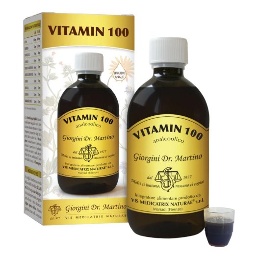 VITAMIN 100 LIQUIDO ANALC500ML