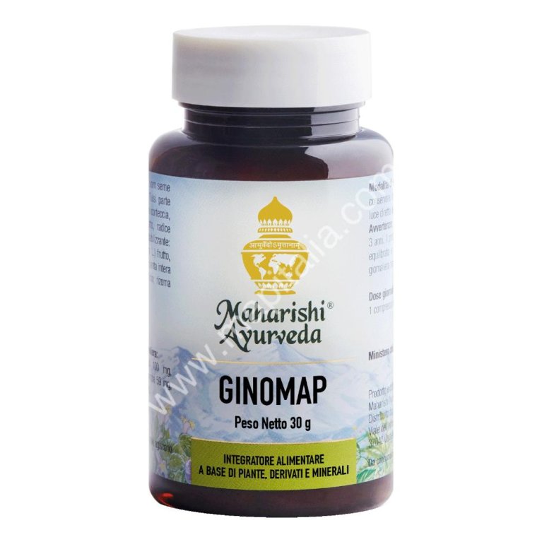 GINOMAP 60TAV