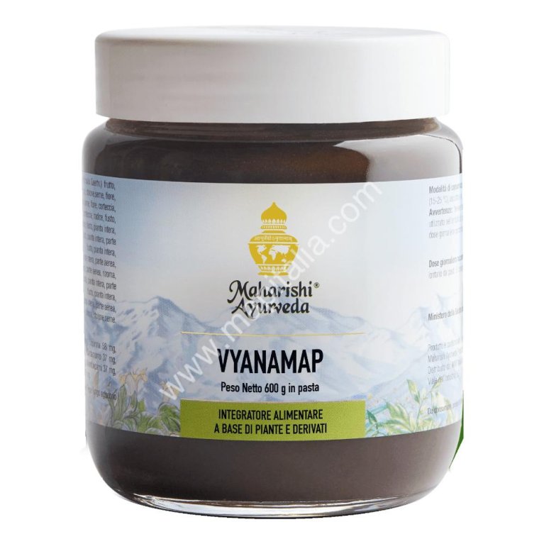 VYANAMAP R MA5301 PASTA 600G