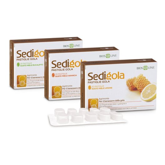 SEDIGOLA APIX MIE/EUC 20PAST SEDIGOLA APIX MIE/EUC 20PAST