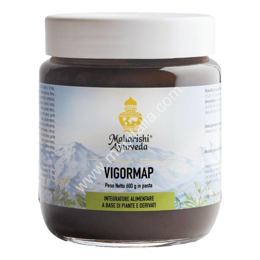 VIGORMAP PASTA 600G