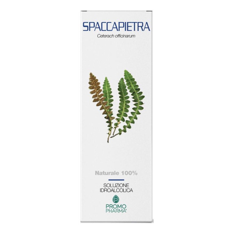 SPACCAPIETRA SOMMITA TT 100G SPACCAPIETRA SOMMITA TT 100G