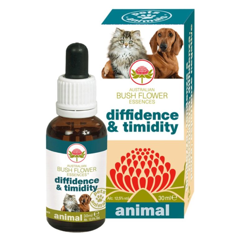 DIFFIDENCE & TIMIDITY 30ML DIFFIDENCE & TIMIDITY 30ML