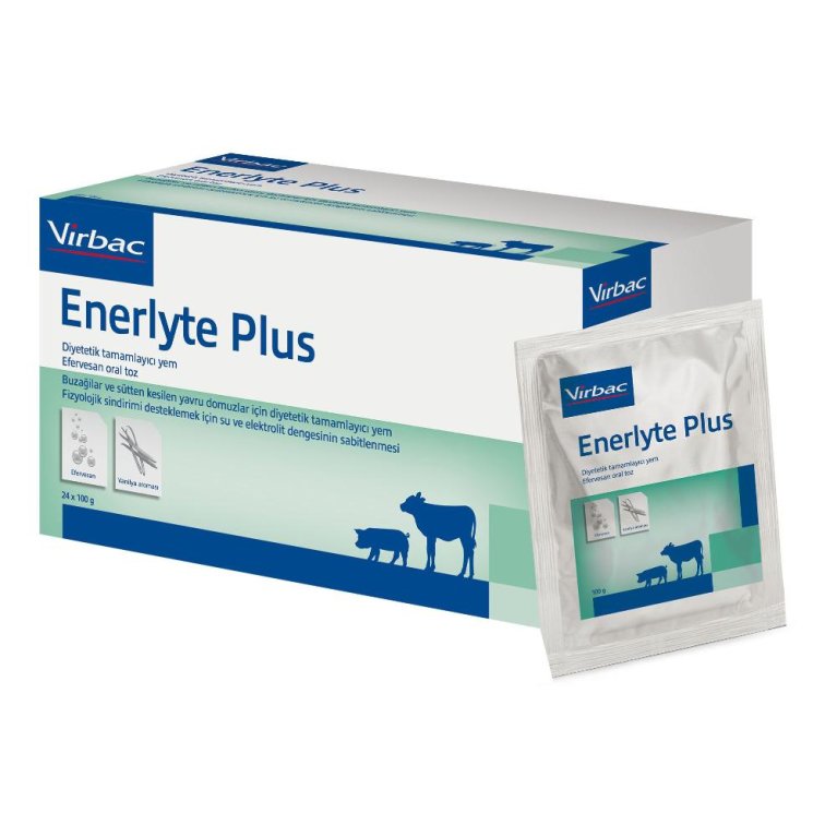 ENERLYTE PLUS 24 BS