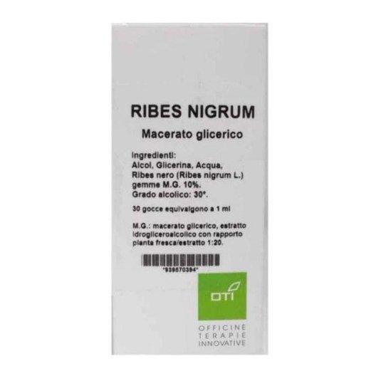 RIBES NIGRUM MG10% GOCCE 100ML