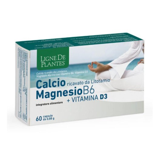 CALCIO+MAGNESIO B6+VITD3 60CPS CALCIO+MAGNESIO B6+VITD3 60CPS