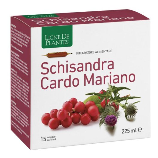 SCHISANDRA CARDO MARIANO 15AMP