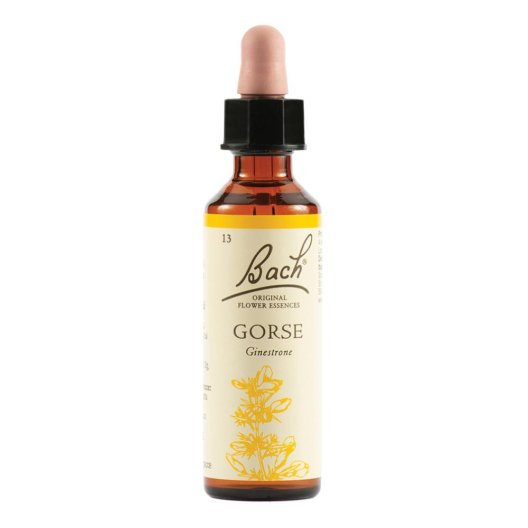 Gorse - Fiore di Bach Originale n°13 - 20 ml Gorse - Fiore di Bach Originale n°13 - 20 ml