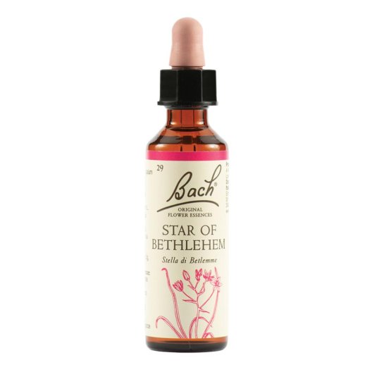 Star of Bethlehem - Fiore di Bach originale n°29 - 20 ml