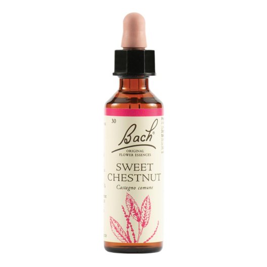 Sweet Chestnut - Fiore di Bach Originale n°30 - 20 ml