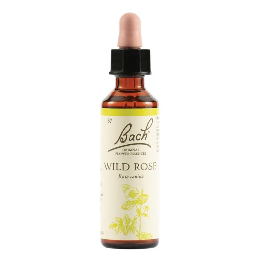 Wild Rose - Fiore di Bach Originale n°37 - 20 ml
