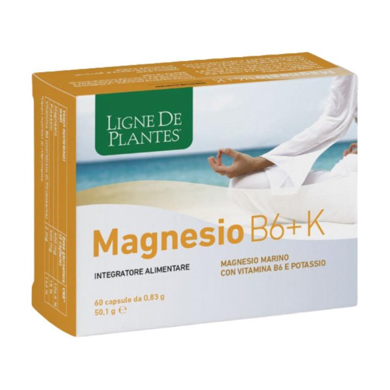 MAGNESIO B6 + K 60CPS NATURA S