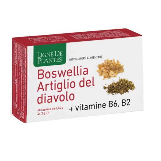 BOSWELLIA ARTIGLIO DIAVOL 60CP BOSWELLIA ARTIGLIO DIAVOL 60CP