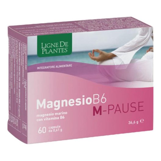 MAGNESIO B6 M-PAUSE 66CPS MAGNESIO B6 M-PAUSE 66CPS