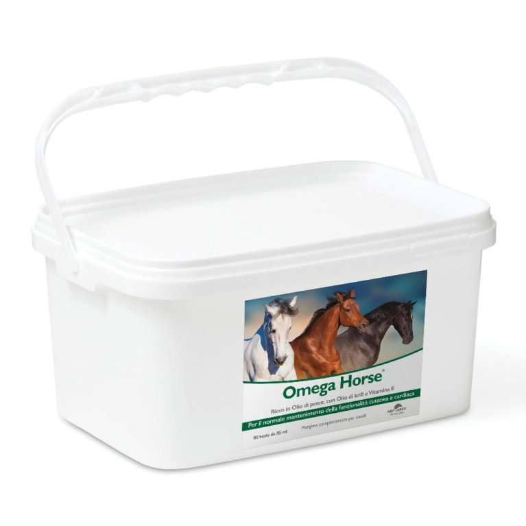 OMEGA HORSE 60BUST