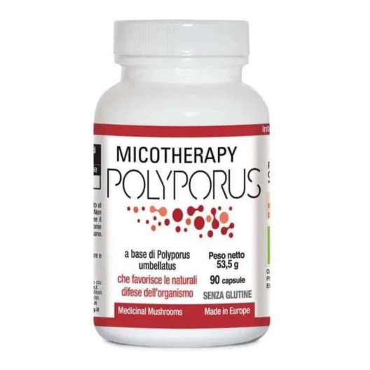 MICOTHERAPY POLYPORUS 90CPS